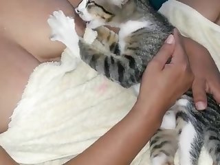 Cat Breastfeed