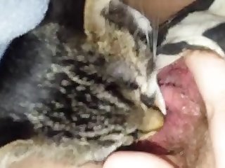Kitty Licking Pussy