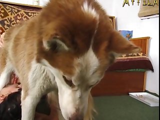 Anett Aka Leslie Orlando With Chela And Dog