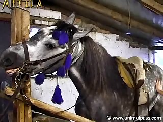 Szandra With Horse In Barn