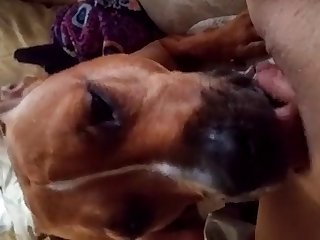 Licking Mommies Pussy