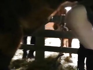 Woman Fucked By Pony