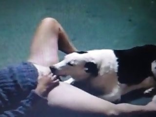 Bitch Getting Licked By White Dog