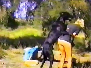 Dog Humping Woman Outdoors