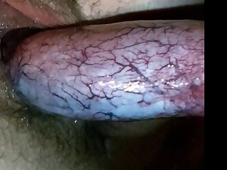 Desi Mms