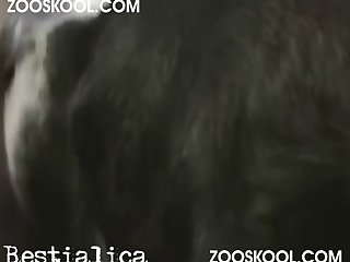 Fmovies Website