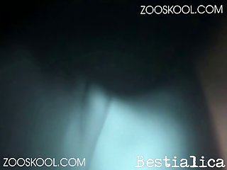 Movie 18