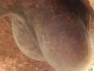 So It Was Without Any Real Thought Or Plan That I Took My First Tentative Lick Along Dog's Penis