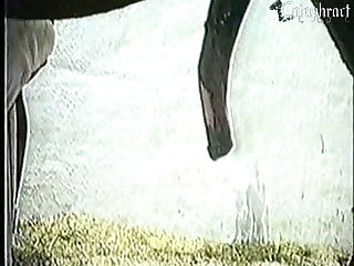 He Pushed Me Back Down