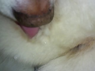 I Spent Most Of The Day Restless Wondering How Things Would Change With Him Back