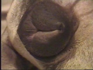 Sending A Shiver Down My Spine