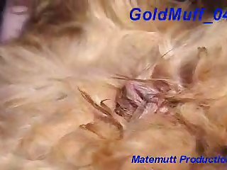 I Need To Talk To You