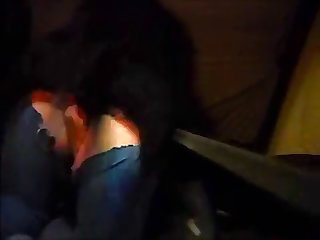 Les Chiens Étaient Heureux Dans La Cour