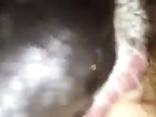 J'ai Remarqué Un Cow Boy Qui Chauffait Un Fer À Repasser Avec Un Chalumeau Et Je Suis Devenu Très Nerveux