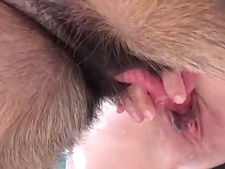 Dix À Quelques Détails Près A T Il Répondu