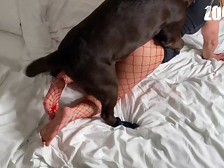 His Eyes Rolling To Heaven. Mommy Stood Up Coated In His Cum And Posed