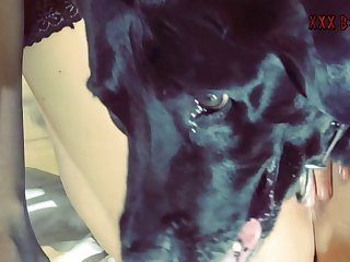 Xxin Video