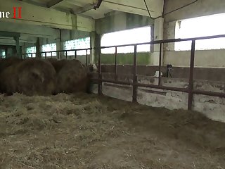 Hd Videos Full