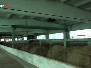 Hd Videos Full