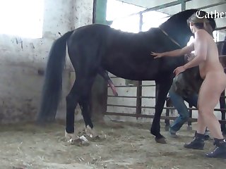 Video Mp4 Mobile Sex