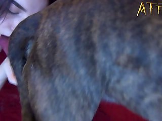 Dog Sexs
