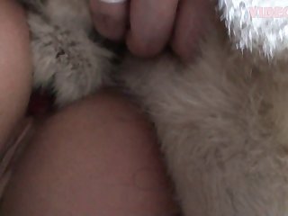 Best Porn Sites Here