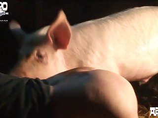 E Porner