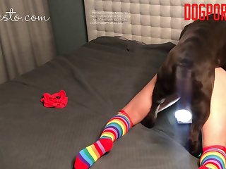 Dog Had Been Trained To Take A Lady Face Up And He Was Straining To Mount Her Since Her Hot Wet Pussy Was Exposed And Ready For A Fucking