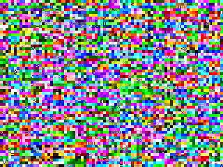 . Dog Curled Up And Rested At My Feet