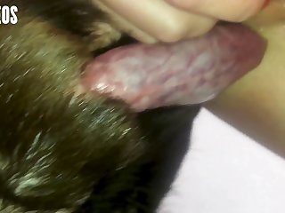 Fuck Me Dog. Fuck Your Bitch