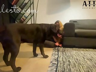 The Stuff Going On With Jeff And Veronica