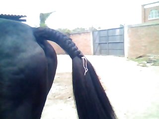 And Zoo 033 03