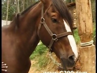 Black Slut Horse 1