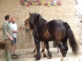 4emesaut Retq
