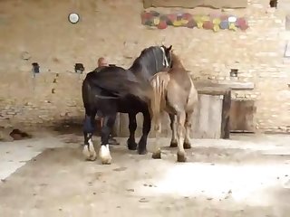 4emesaut Retq