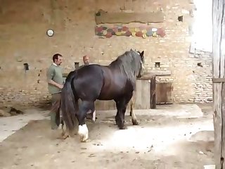 4emesaut Retq