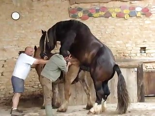 4emesaut Retq