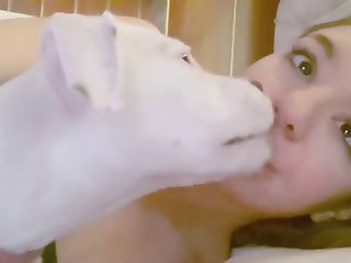 O9qt3t8ln2scwcy72nsp 04 217b72aee488e3074466cddc53ca41c3 Video