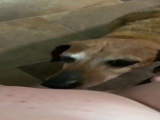 Dog Eats Teen Pussy