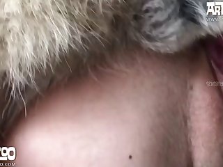 Aoz Zumi Doggy Deeper