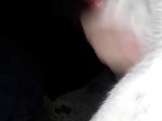 New Amateur Vids Sample 1
