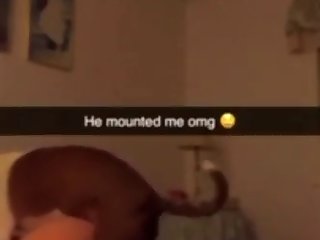 My Girl Friend And Her Dog