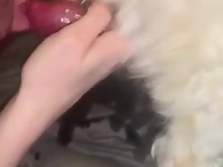 Girlfriend Milking Dogs Cock