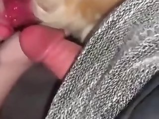 Girlfriend Milking Dogs Cock