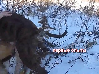 Team Russia Petlove Mixed Dog Sex