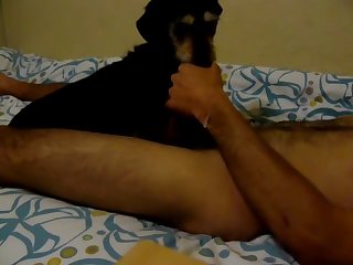 Lick.avi