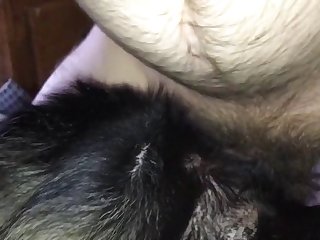 Rottie Fun 1
