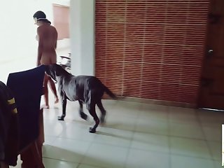 Furious Sam Trailer1
