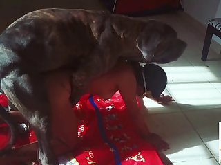 Furious Sam Trailer1