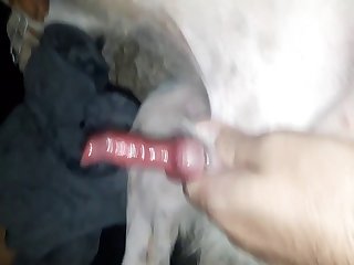 New Amateur Vids 2